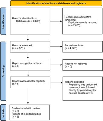 Pain after emergency treatments of symptomatic irreversible pulpitis and symptomatic apical periodontitis in the permanent dentition: a systematic review of randomized clinical trials